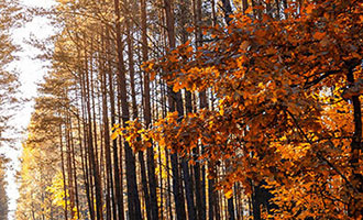 抖音24小时自助服务平台(抖音买热度)