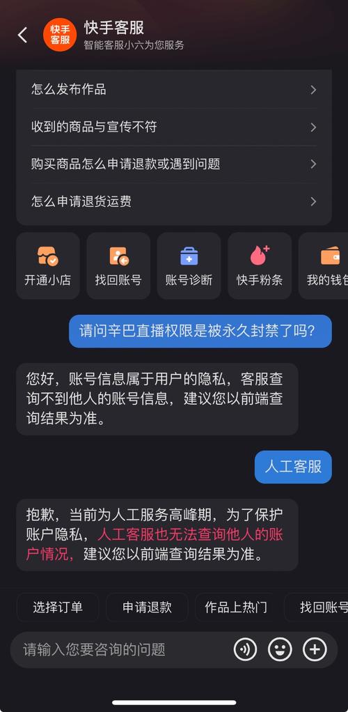 快手ks业务_快手刷赞服务评估_快手特殊服务选择风险